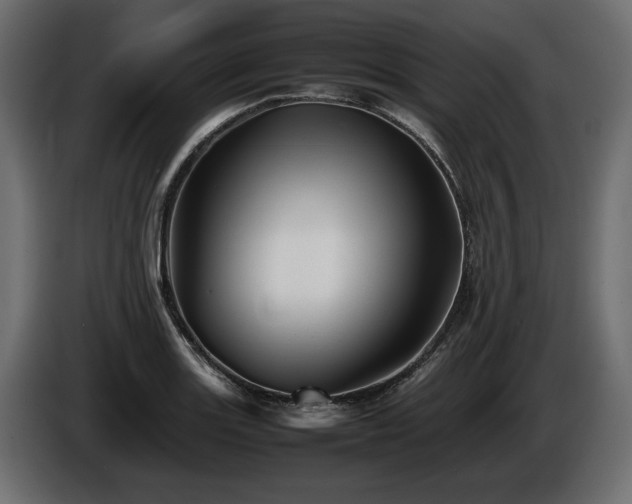 X0000085831131200703231414