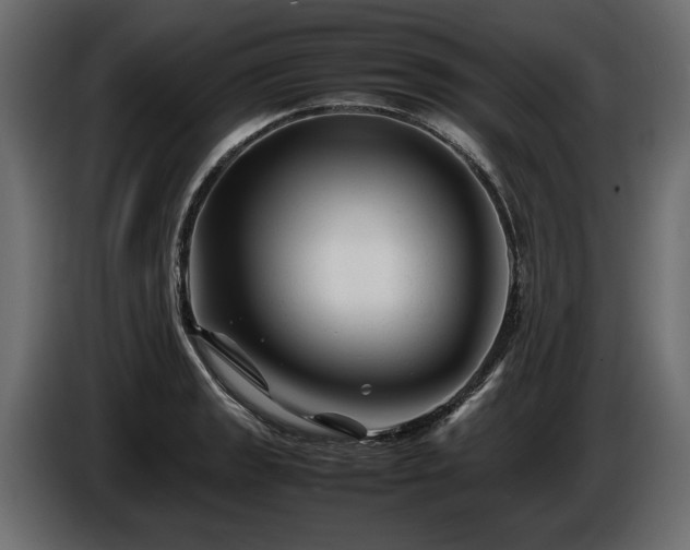 X0000085831133200703231414