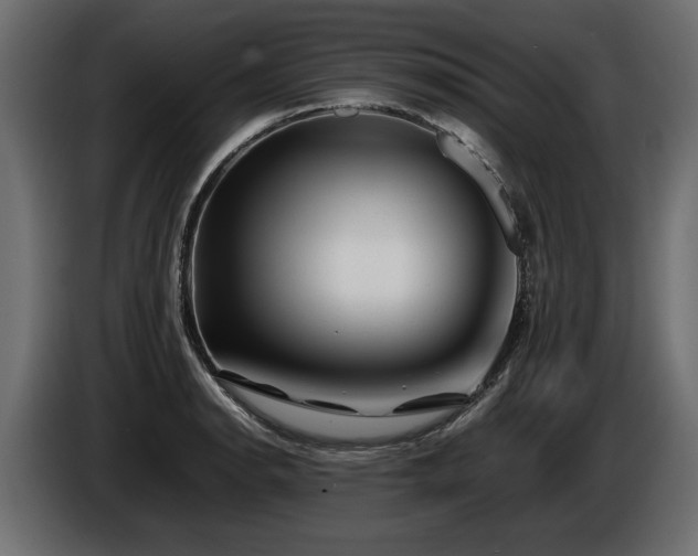 X0000085831134200703231414