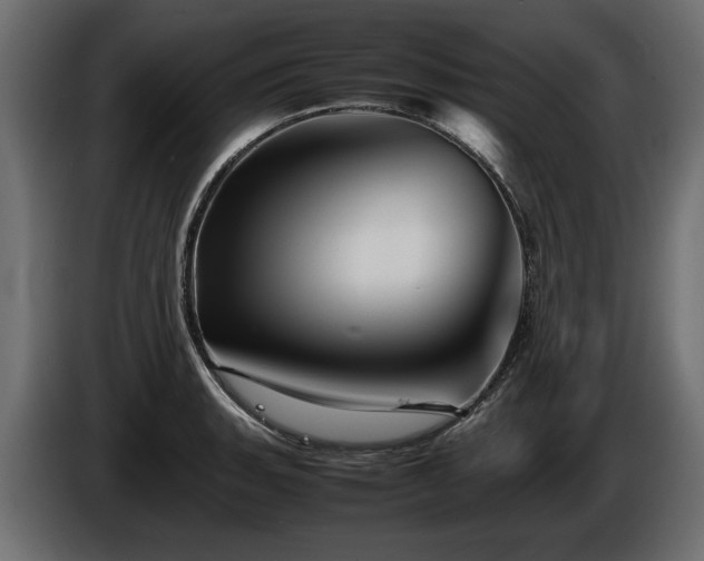 X0000085831135200703231414