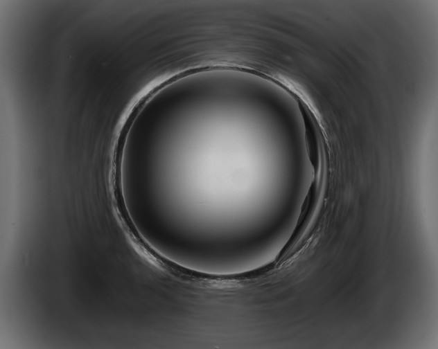 X0000085831136200703231414