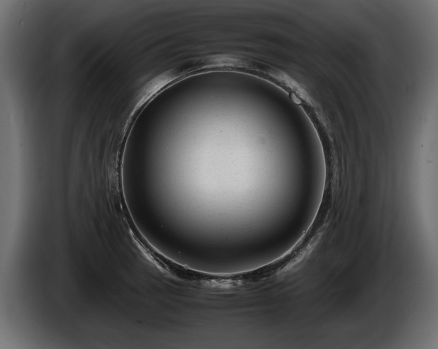 X0000085831137200703231414