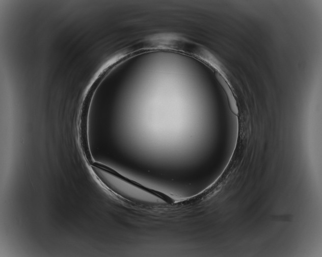 X0000085831139200703231414