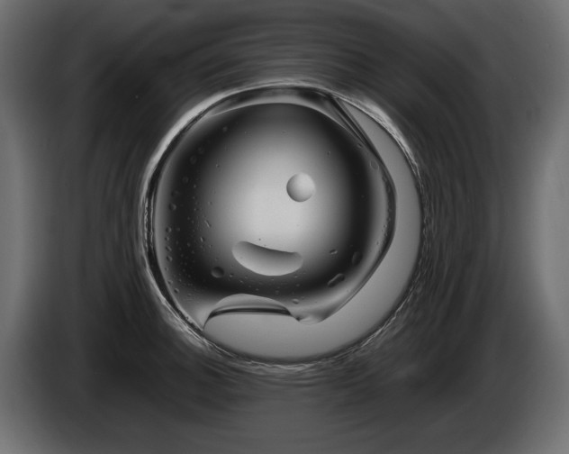 X0000085831140200703231414