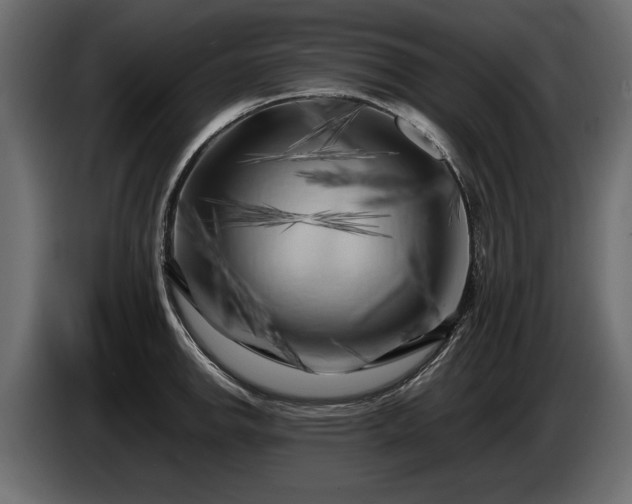 X0000085831142200703231414