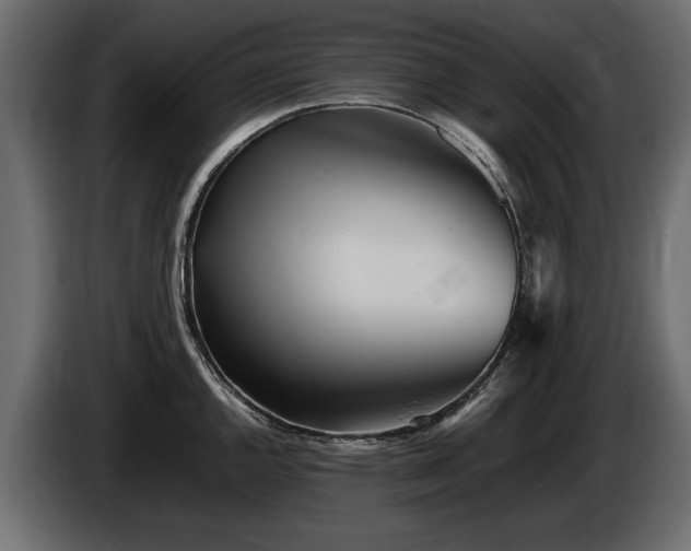 X0000085831144200703231414