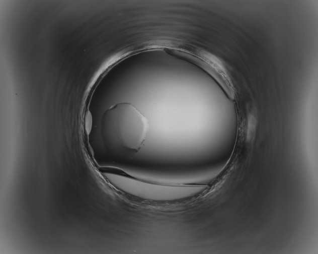 X0000085831146200703231414