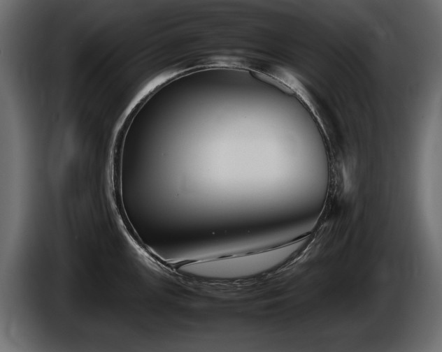 X0000085831147200703231414