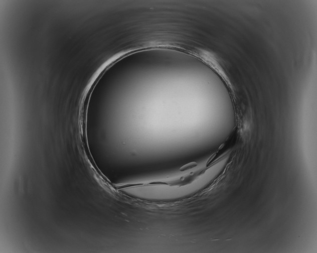 X0000085831148200703231414