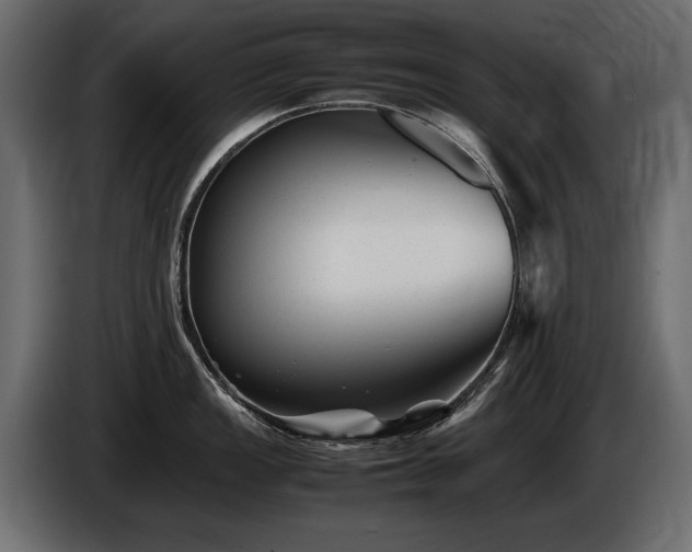 X0000085831149200703231414