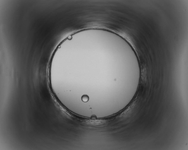 X0000085831150200703231414