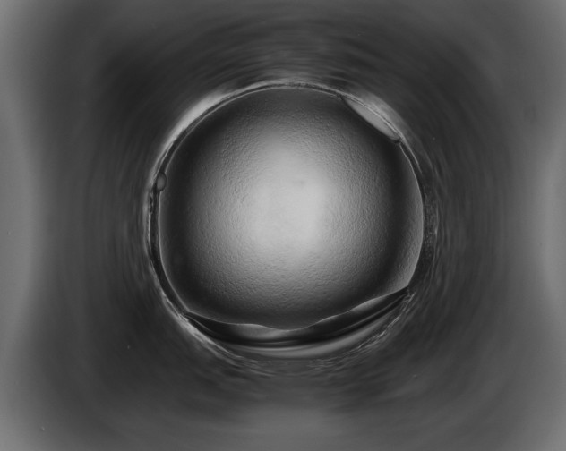 X0000085831151200703231414