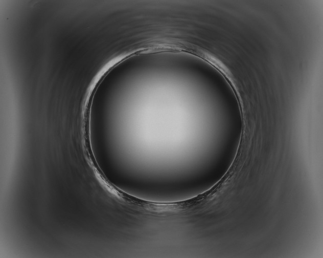 X0000085831152200703231414