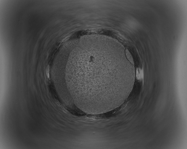 X0000085831155200703231414