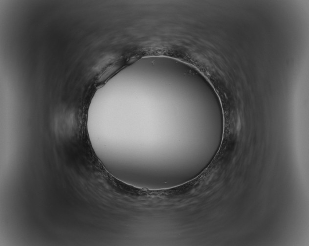 X0000085831157200703231414