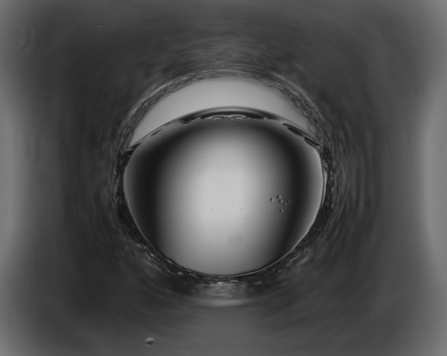 X0000085831160200703231414