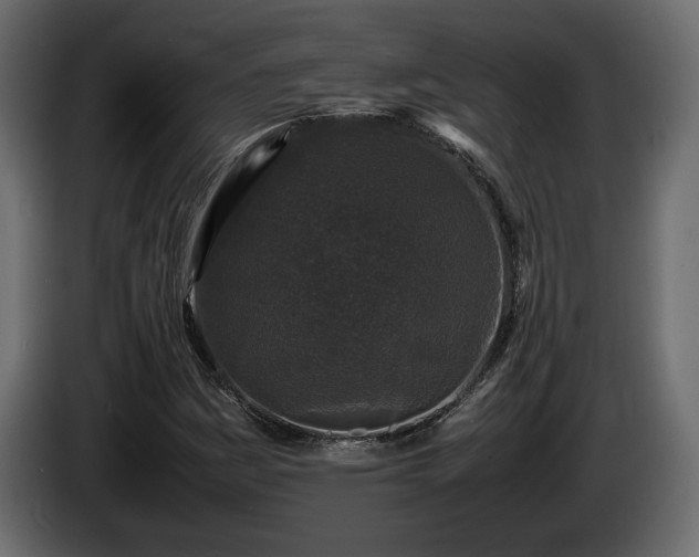 X0000085831161200703231414