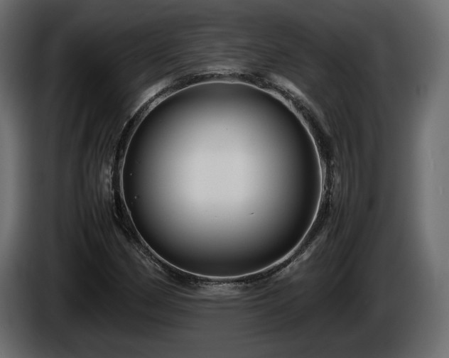 X0000085831162200703231414