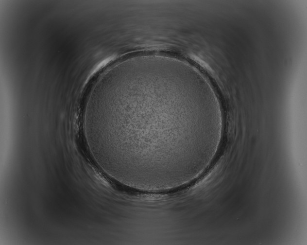 X0000085831163200703231414