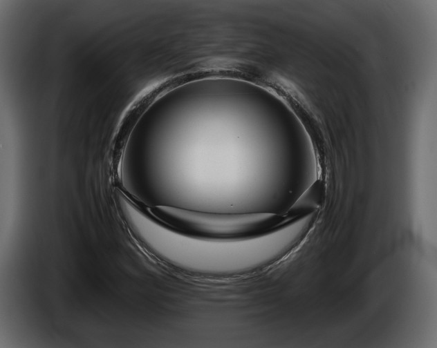 X0000085831164200703231414