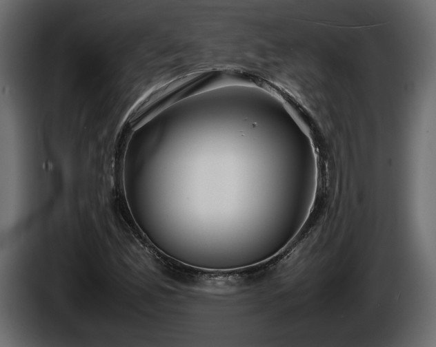 X0000085831165200703231414