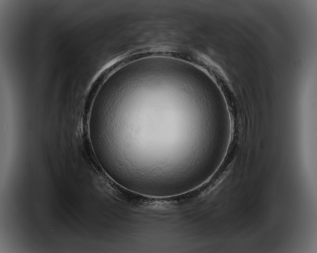 X0000085831166200703231414