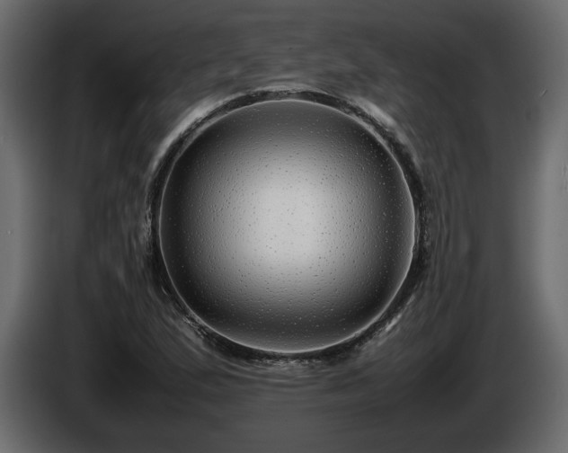 X0000085831167200703231414