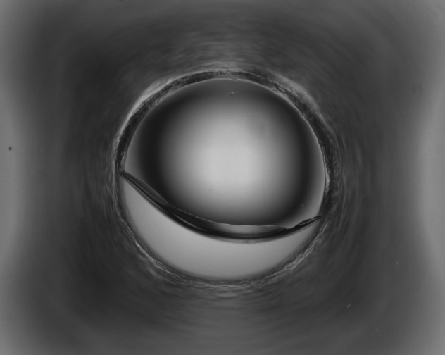 X0000085831168200703231414