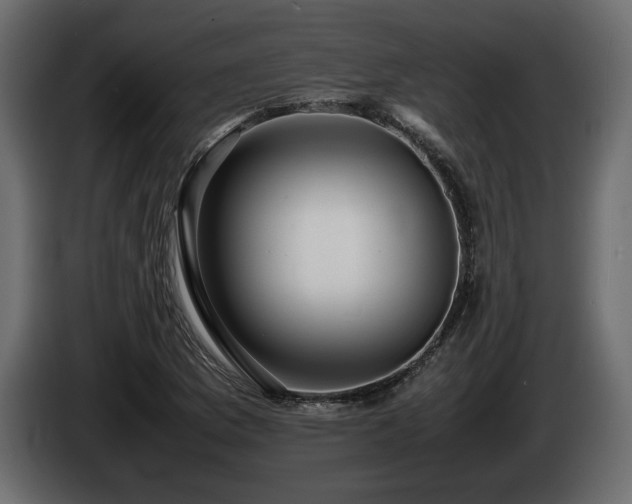 X0000085831169200703231414