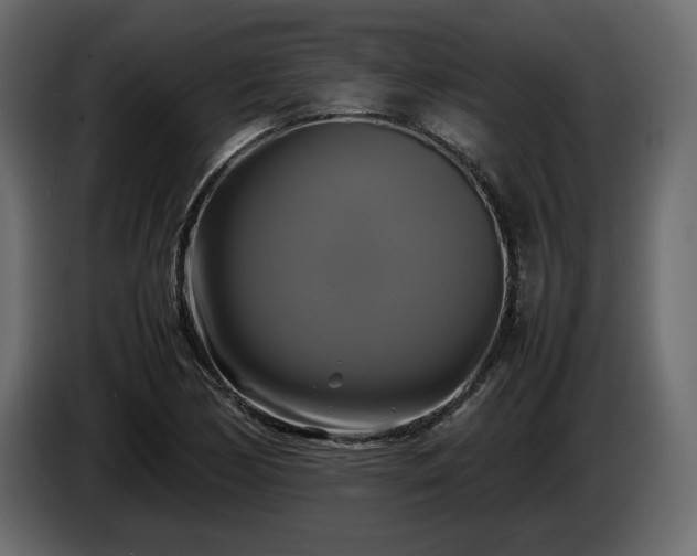 X0000085831170200703231414