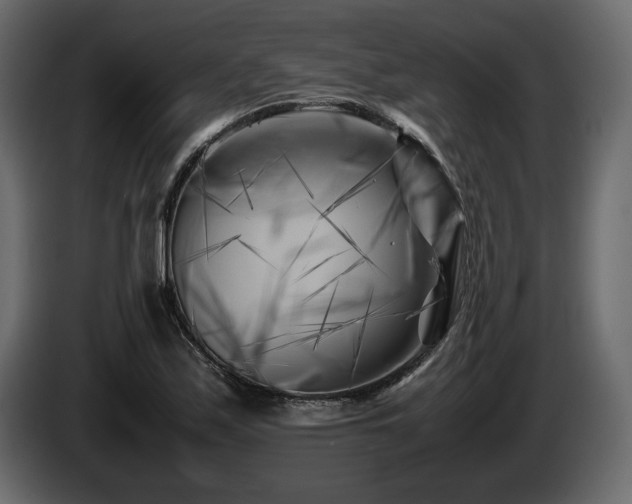 X0000085831171200703231414