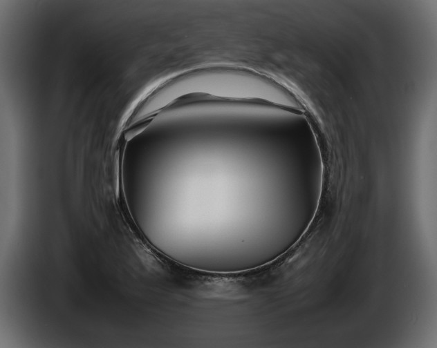 X0000085831175200703231413