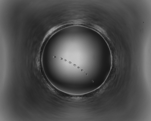 X0000085831176200703231413