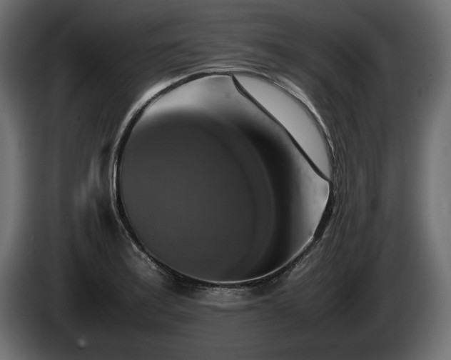 X0000085831179200703231413