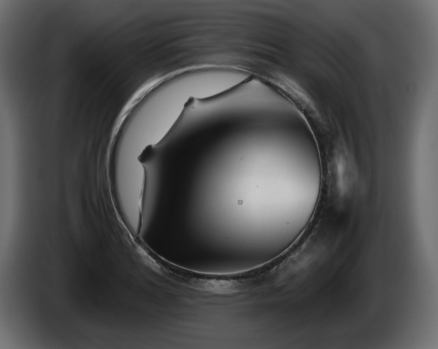 X0000085831180200703231413