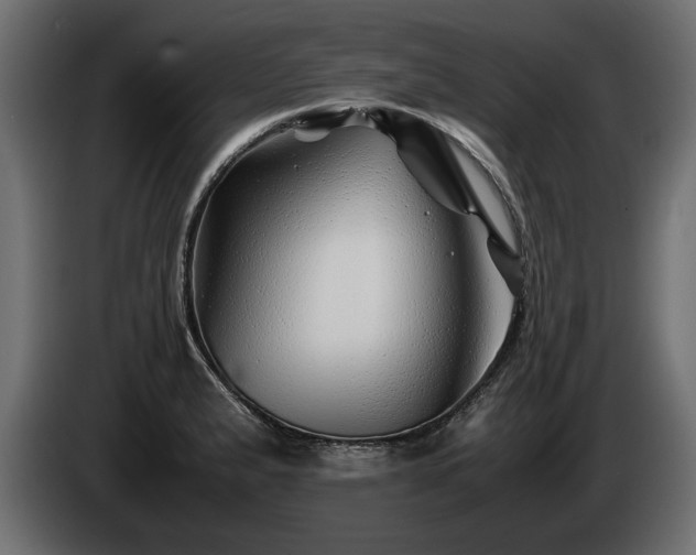 X0000085831183200703231413