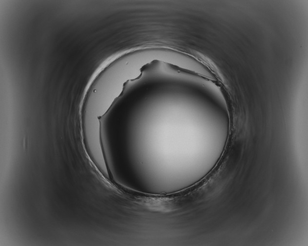 X0000085831184200703231413