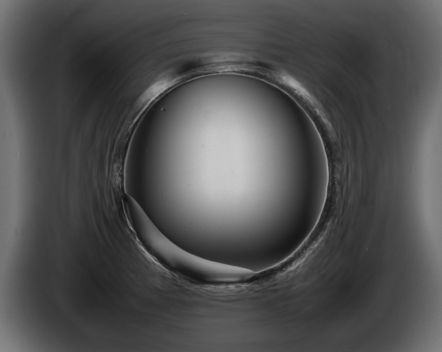 X0000085831185200703231413