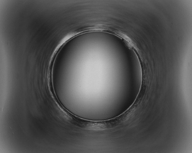 X0000085831187200703231413