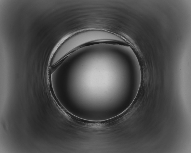 X0000085831188200703231413