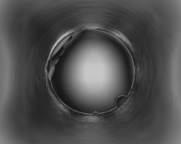 X0000085831190200703231413