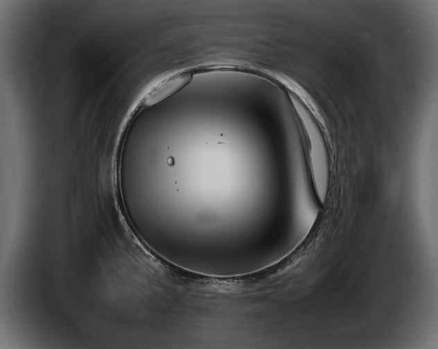 X0000085831191200703231413