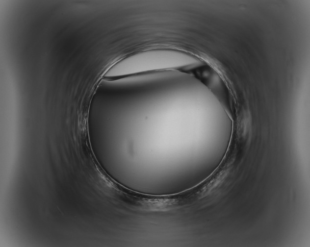 X0000085831193200703231413