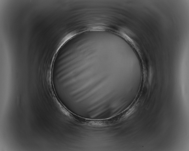 X0000085831194200703231413