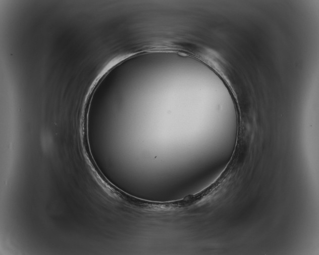 X0000085831195200703231413