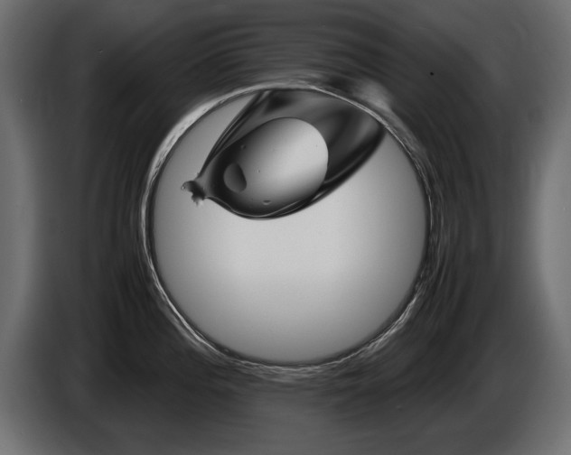 X0000085831196200703231413