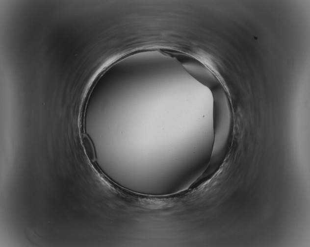 X0000085831197200703231413