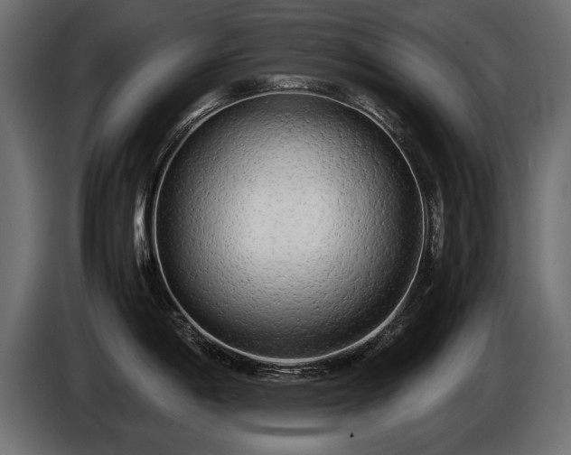 X0000085831198200703231413