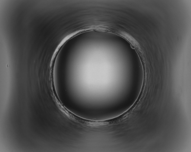 X0000085831200200703231413