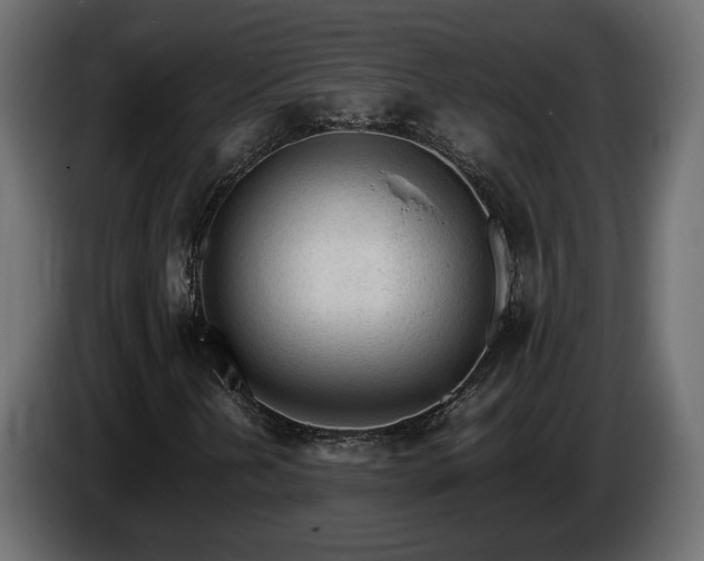 X0000085831202200703231412